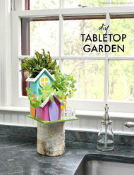 DIY Tabletop Garden